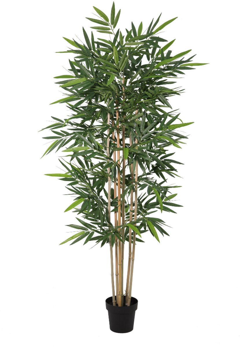 Trendyplants - Kunst Bamboe - Bamboeplant - Kunstplant - Hoogte 200cm - Potmaat Ø20cm