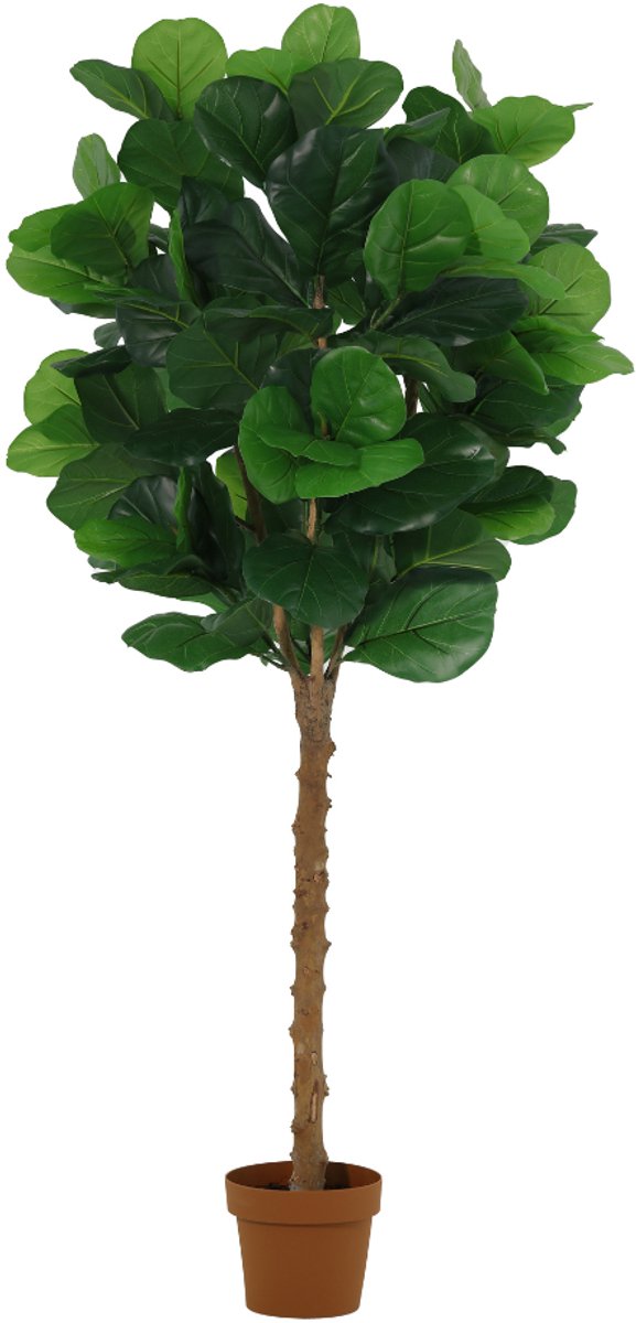 Trendyplants - Kunst Ficus Lyrata Tree - Tabaksplant - Kunstplant - Hoogte 160cm - Potmaat Ø20cm