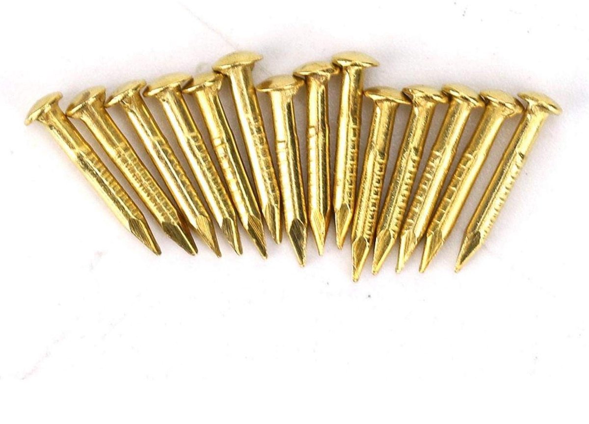 BRENZOOS- Messing Nagels 100 Stuks - Ronde Kop - Decoratieve Hardware - Voor Hout/Gipsplaat - Fotolijst/Spiegel Ophangen - Premium Materiaal - Spijkers