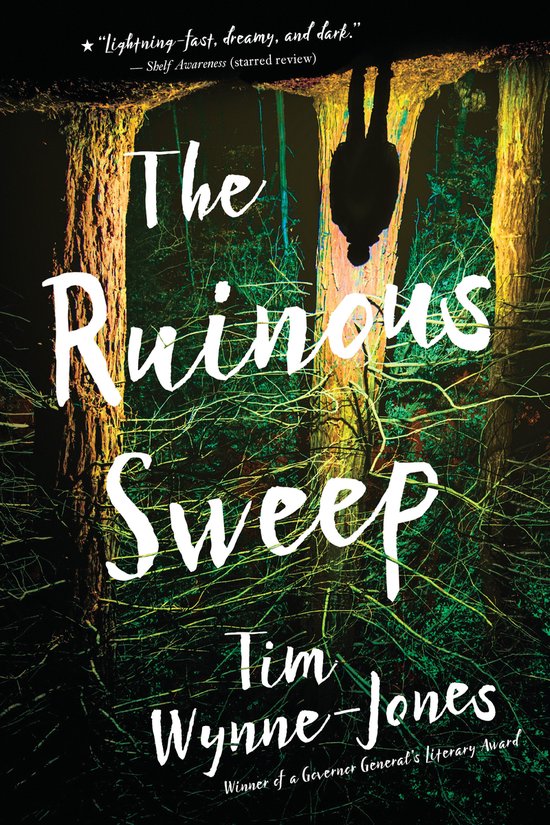 The Ruinous Sweep - cover