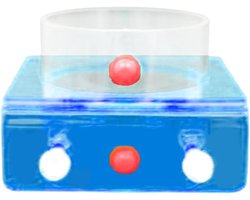 Voerring Aquarium - Voederring Vis - Vissen Voeren - Gerichte Voedselafgifte - 9.5x9x8 cm - Blauw
