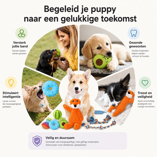 Hondjes spelen met verschillende BOTC speeltjes: een vos, avocado, bal, donut en regenboog speeltje.