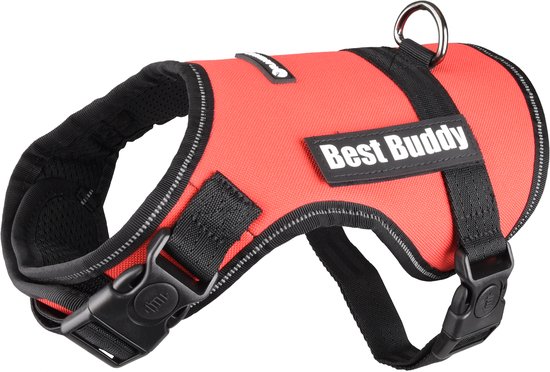 Rood hondentuig met 'Best Buddy' logo, zwarte gespen en riemen.