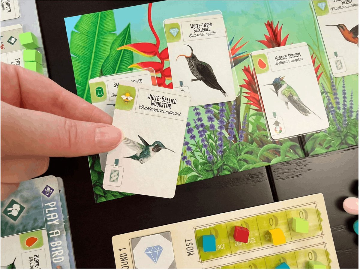 999 Games - Wingspan uitbreiding: Midden- en Zuid-Amerika Bordspel — afbeelding 7