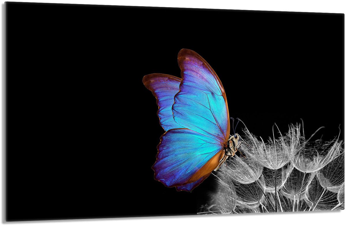TMK ArtDeko - Snijplank - 80x52 cm - Motief Motyl - Glas
