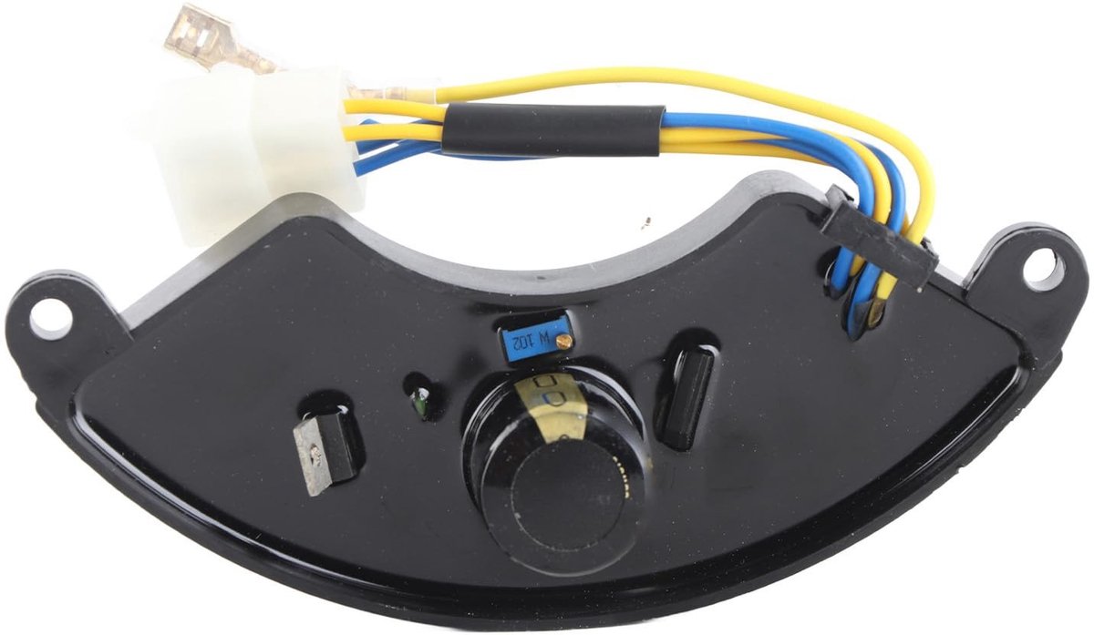 Dailygoody - Automatische Spanningregelaar - Geschikt voor Generatoren - Betrouwbare Capaciteit - 250V - Voor Buiten- en Noodgebruik - 6,5 kW