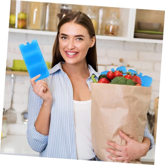 IJs Pak - Koeltas Vulling - Eten Koel Houden - Geen Water Nodig - 16.50X10.50X5.50CM - Hemelsblauw — afbeelding 4