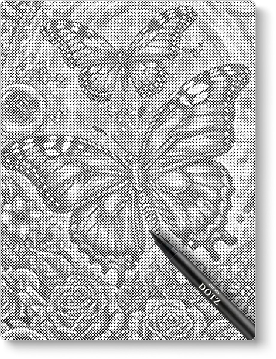 Prachtige Vlinders | Dot painting | 30x40cm | Dot painting | Oh My Dotz | Dots stippen | Diamond painting & Schilderen op nummer alternatief | Happy hobby