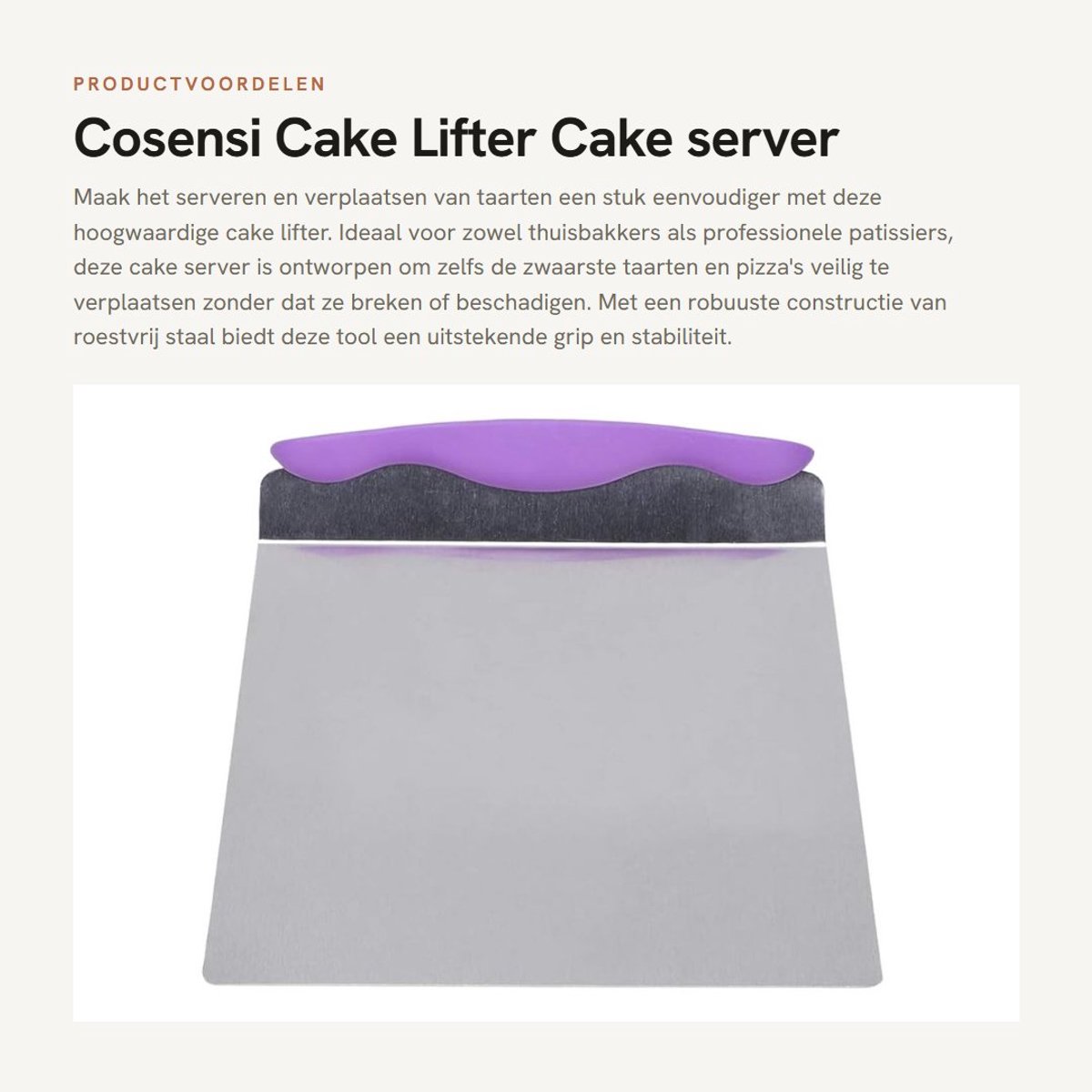 Dailygoods- Taartlifter - Roestvrij Staal - 24.5 x 20 cm - Taart Server - Pizza Transfer - Duurzaam - Gemakkelijk in gebruik - Taartserver