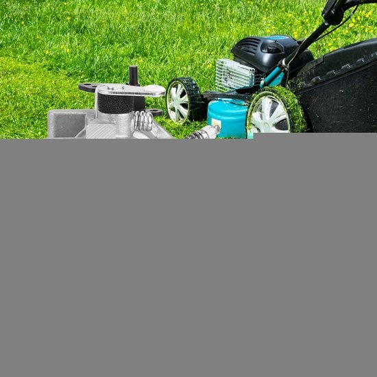 Geschikt voor Carburateur voor Walbro LMT 5-4993 Briggs & Stratton 799728 498027 499161 498231 494502 494392 495706 498134 496592 699318 699737 699856 699896-28V707 Carburateur van Merkloos	 — afbeelding 3