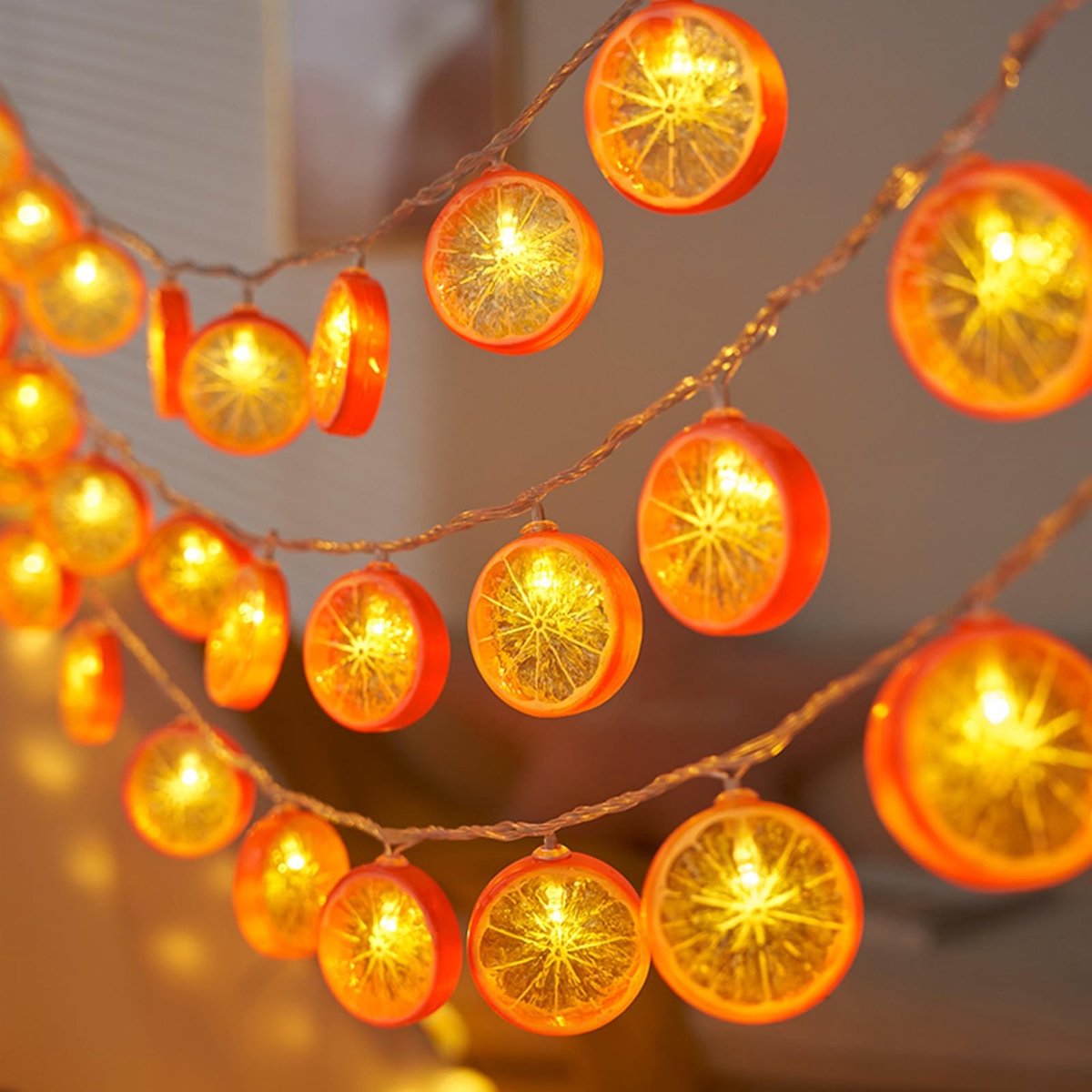 Dailygoods - Lichtsnoer met 10 LED's en Sinaasappelschijven