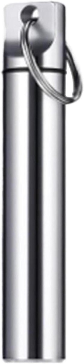 Tandenstoker Koffer - Reis Container - Hygiënisch Opbergen - Draagbaar Ontwerp - 11 x 3 x 3 cm - Zilver