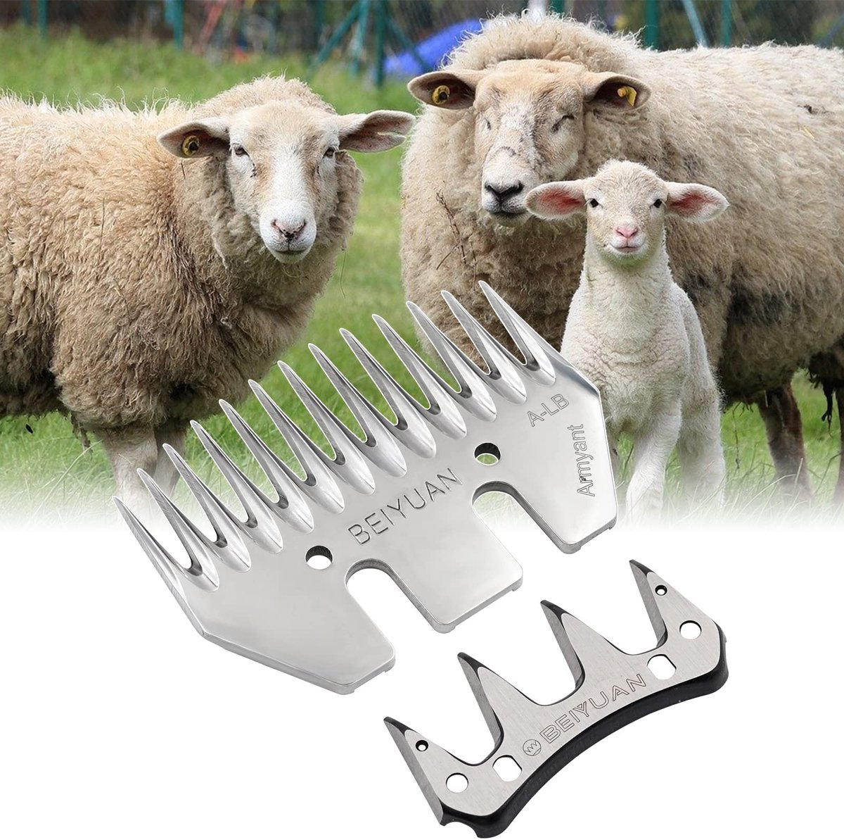 Dailygoods - Cosensi - Dailygoody - Schapenbladen Schaar Kit - Scheren van Schapen - Hoogwaardige Kammen en Cutters - 13 Tanden - Geschikt voor Wol en Alpaca - Voor Professi.