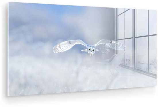 Peinture sur Verre - Hibou Blanc Volant - 80x40 cm - Peintures sur Verre Peintures - Photo sur Glas