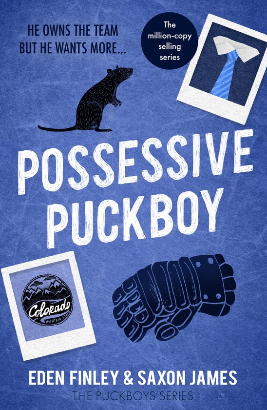 Puckboys8- Possessive Puckboy - cover