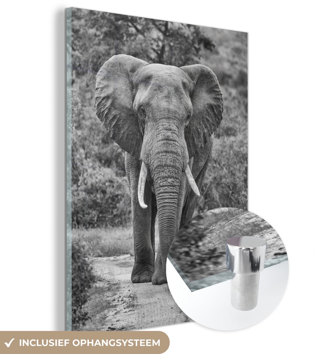 ® Glasschilderij 90x120 cm - Schilderij acrylglas - Olifant zwart-wit gecentreerd - Foto o