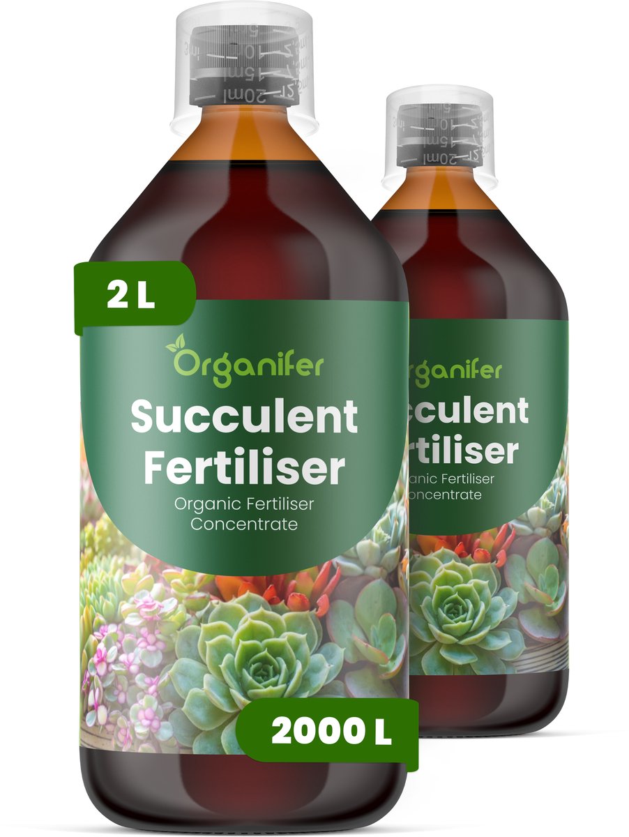 Vloeibare Meststof Voor Vetplant 2X1 L Voor 2000 L - Npk 2-1-8 - Ondersteunt Compacte - Gecontroleerde Groei Bij Vetplanten - Versterkt De Kleurintensiteit Van Het Blad En De Structurele Stevigheid - Voor Vetplanten Binnen En Buiten - Organifer