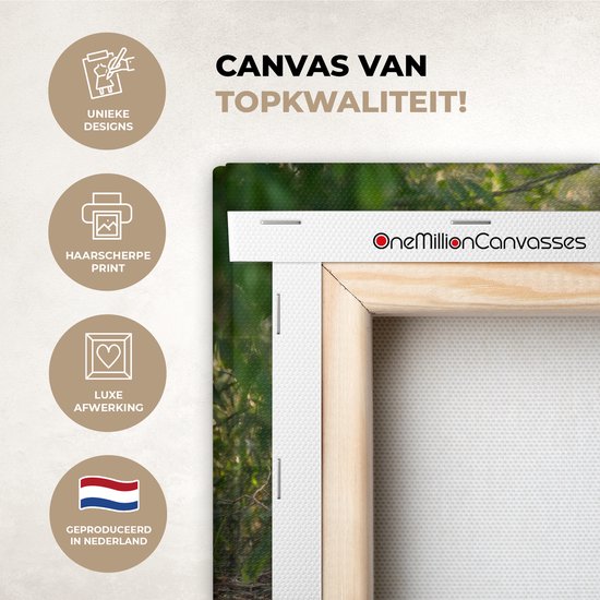 Canvas van topkwaliteit met haarscherpe print, luxe afwerking en geproduceerd in Nederland.