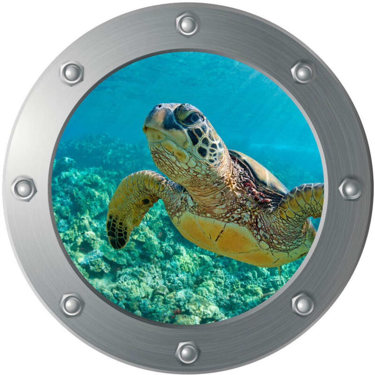 3D muursticker geschikt voor patrijspoort van een onderzeeër - Schildpad (diageschikt voorer: 29 cm), wanddecoratie, kinderkamer, babykamer, badkamer