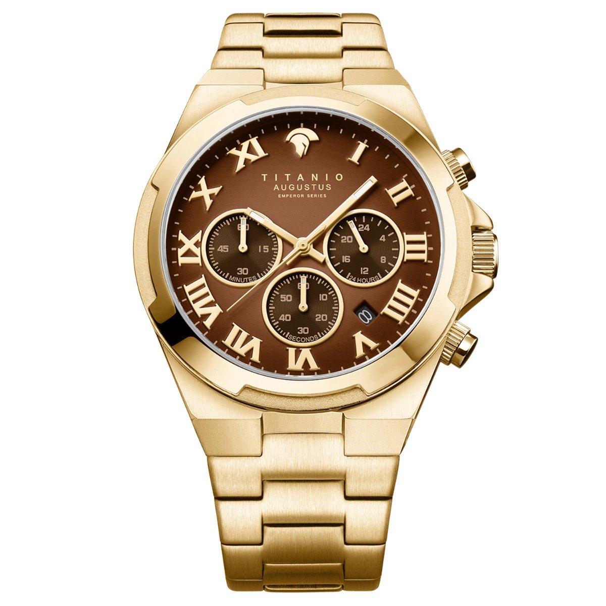 Titanio - Heren Horloge Augustus - Goud