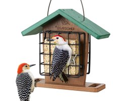 Suet Vogelvoederbak - Vogelvoerhuisje Voederstation - Vogels Voeren - Dubbele Suet Cage - 25.4 cm - Groen