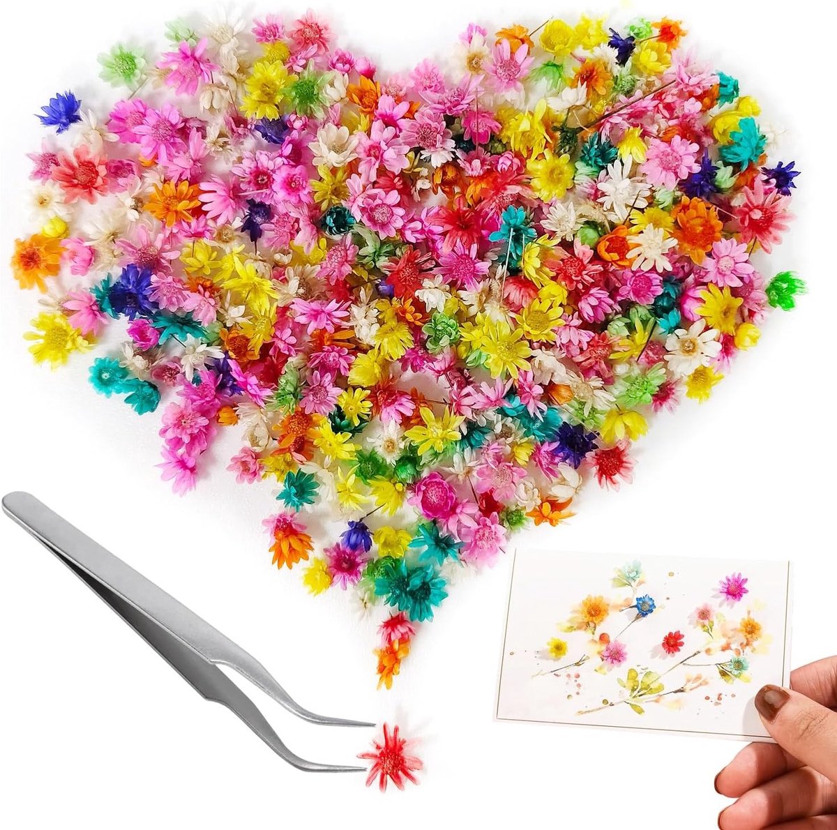 Decoratieve Gedroogde Bloemen voor Hars, Kaarsen, Zeepmaken, Nagelkunst en Sieraden - 561 Stuks voor Creatieve Projecten