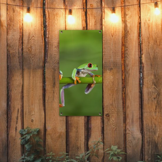 Tuinposter 40x80 cm - Tuindecoratie Kikkers - Tak - Groen - Poster voor in de tuin - Buiten decoratie - Schutting tuinschilderij - Tuindoek muurdecoratie - Wanddecoratie balkondoek