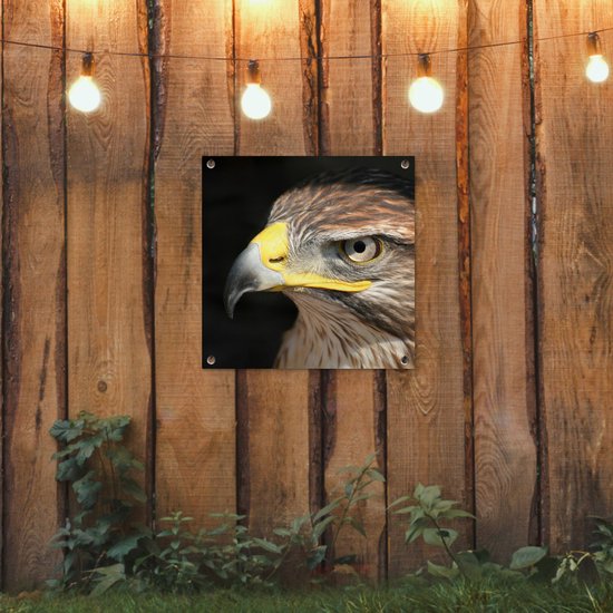 Posters de jardin Buse - Vogel - Zwart - 50x50 cm