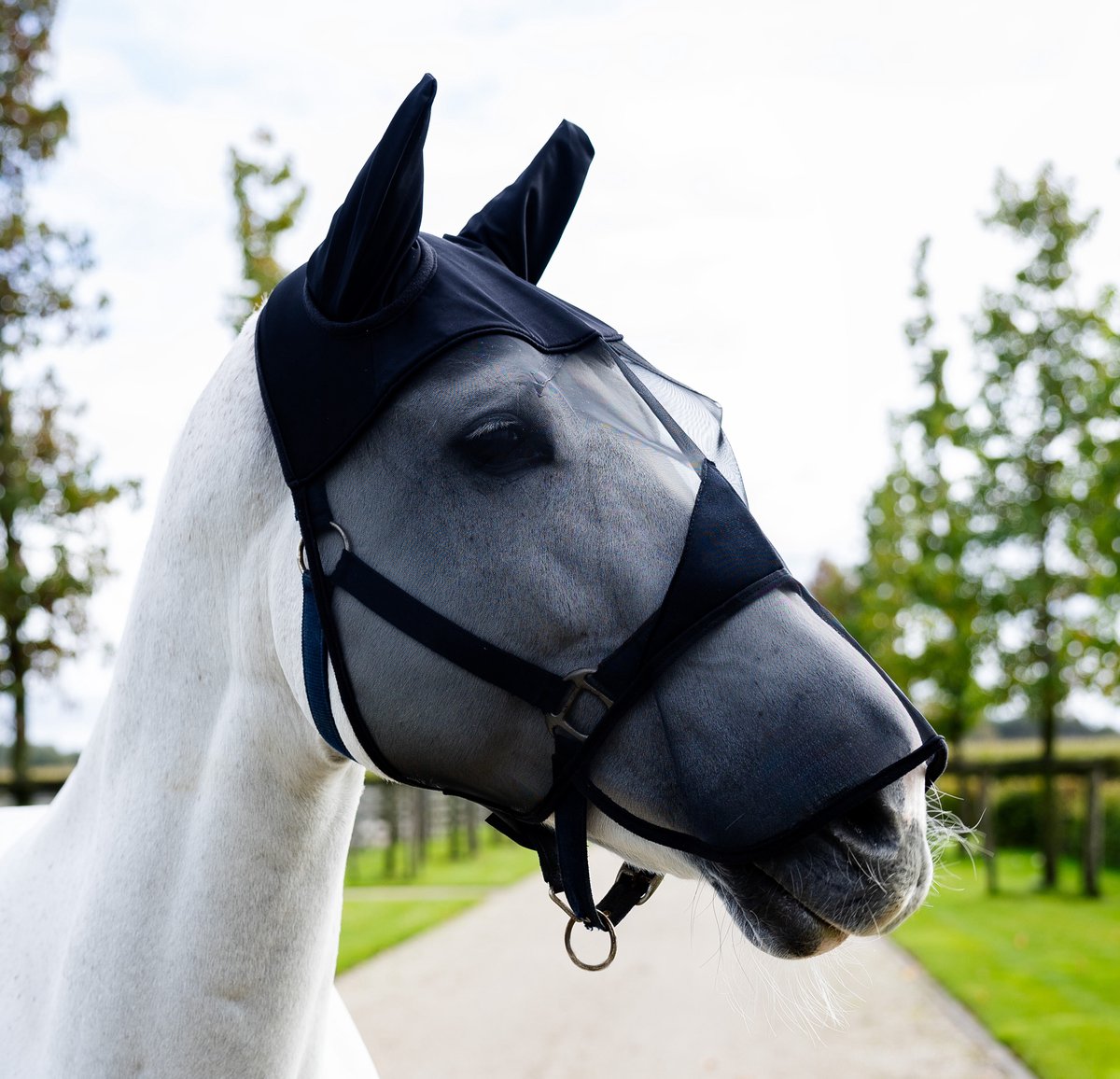 S2G VLIEGENMASKER FINE MESH + NEUS PONY