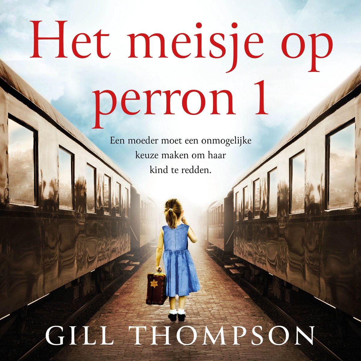 Het Meisje Op Perron 1