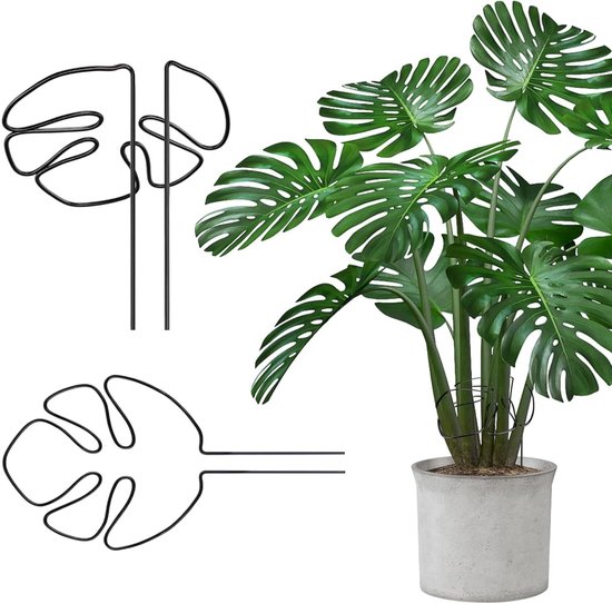 Ondersteuning voor Kamerplanten, Set van 2 Plant Steunen, Ideaal voor Alocasia en Monstera, Plant Stem Houder en Clips