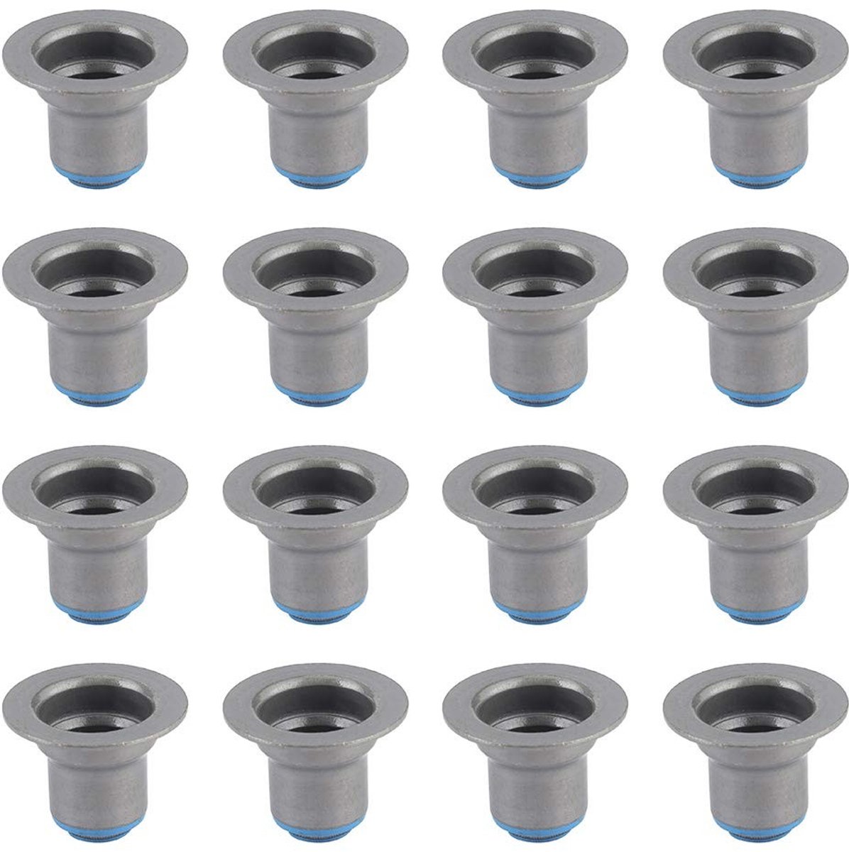 Dailygoods- Klepafdichtingen 16PCS - Vervangingsset - Geschikt voor GM LS1/LS2/LS4/LS6 - Materiaal: Ijzer - OEM: 12482063 - Voor Express 2500/3500 - Klepseals