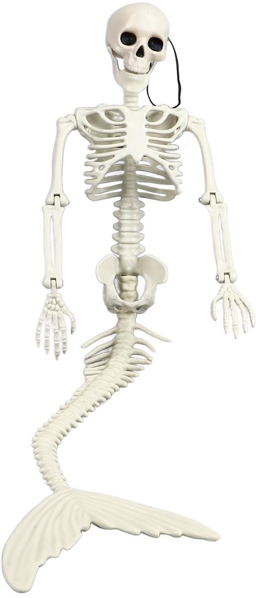 Dailygoods- Skelet Levensgroot - Halloween Decoratie - Zeemeermin - Beweegbare Gewrichten - Ingangsversieringen - Plastic Materiaal