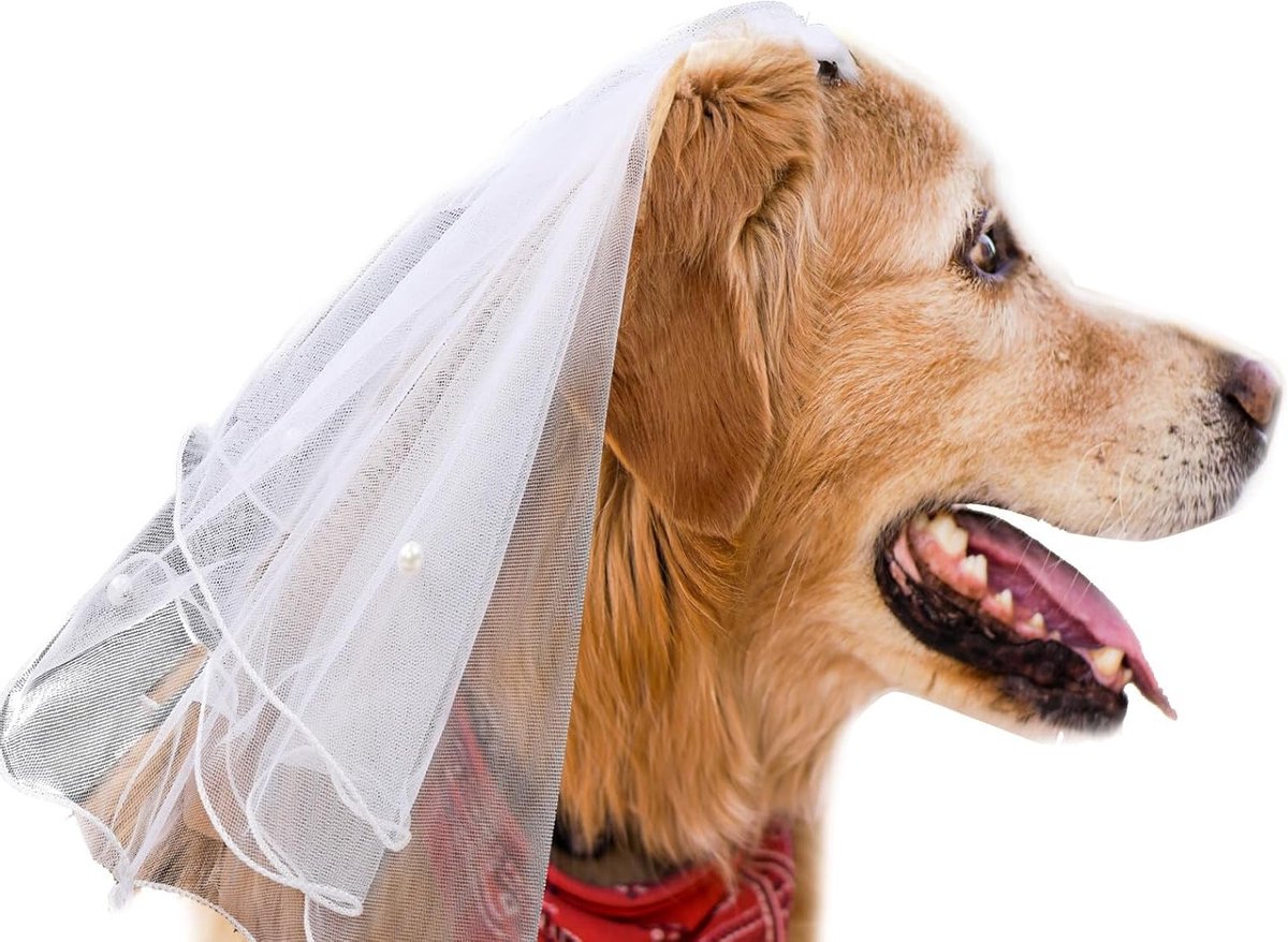 Honden sluier met parel strik en haarclips, perfect voor bruiloften, Valentijnsdag en feestkostuums