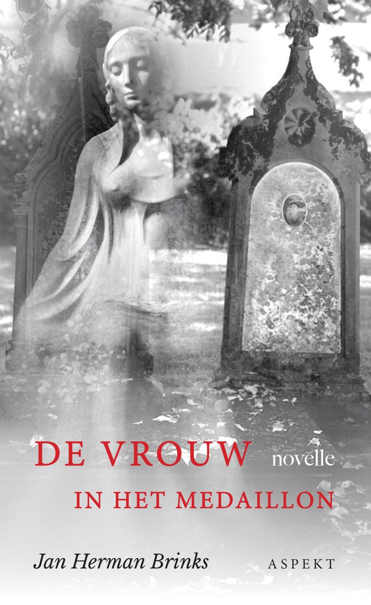 Boekomslag: 'De vrouw in het Medaillon' van Jan Herman Brinks met op de voorgrond een vrouw in een medaillon en een grafsteen.