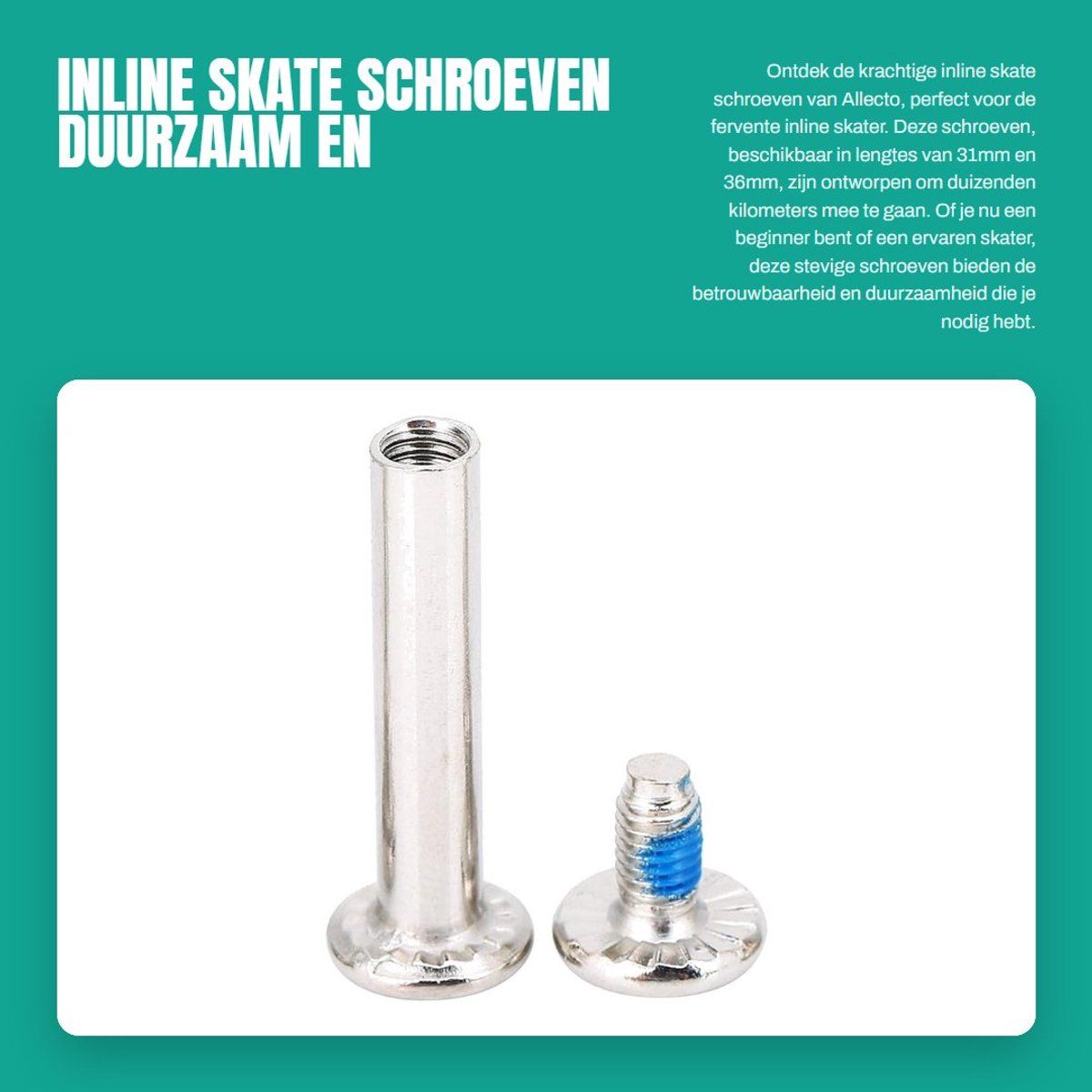 Dailygoods- Inline Skate Schroeven 10 stuks 31mm/36mm - Duurzaam Ijzer - Fittings - Hardware - Skates - Professionele Kwaliteit