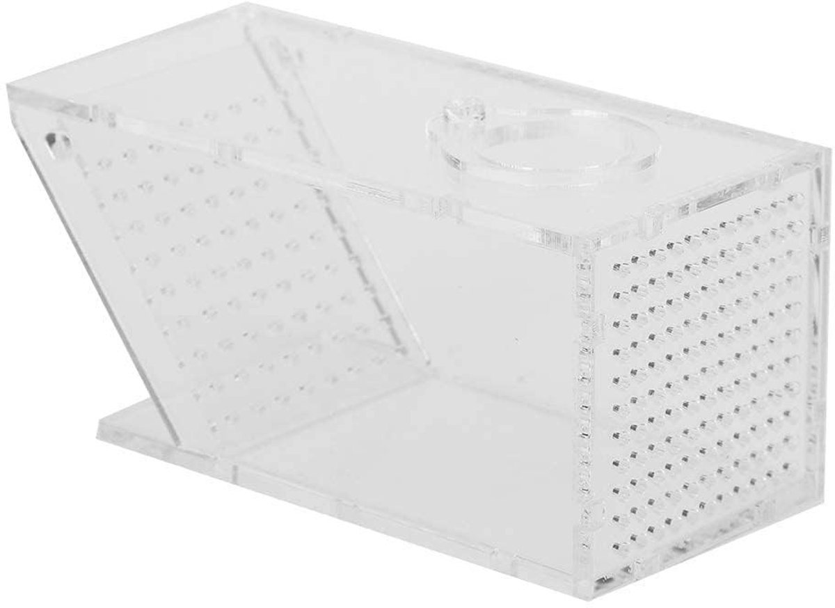 Dailygoods- Visvanger Eenvoudig te gebruiken - Krab Trap - Garnalen Vangen - Waterdieren Vangen - One Way Trap - Smaakloze Container - Krabval