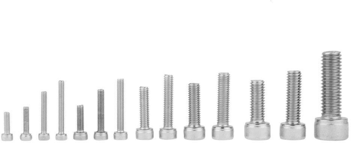 Dailygoods- Zeskantschroevenset 135-delig - Roestvrij Staal 304 - 14 Maten - Transparante Opbergdoos - Corrosiebestendig - Ideaal voor Doe-het-zelvers - Inbusschroeven