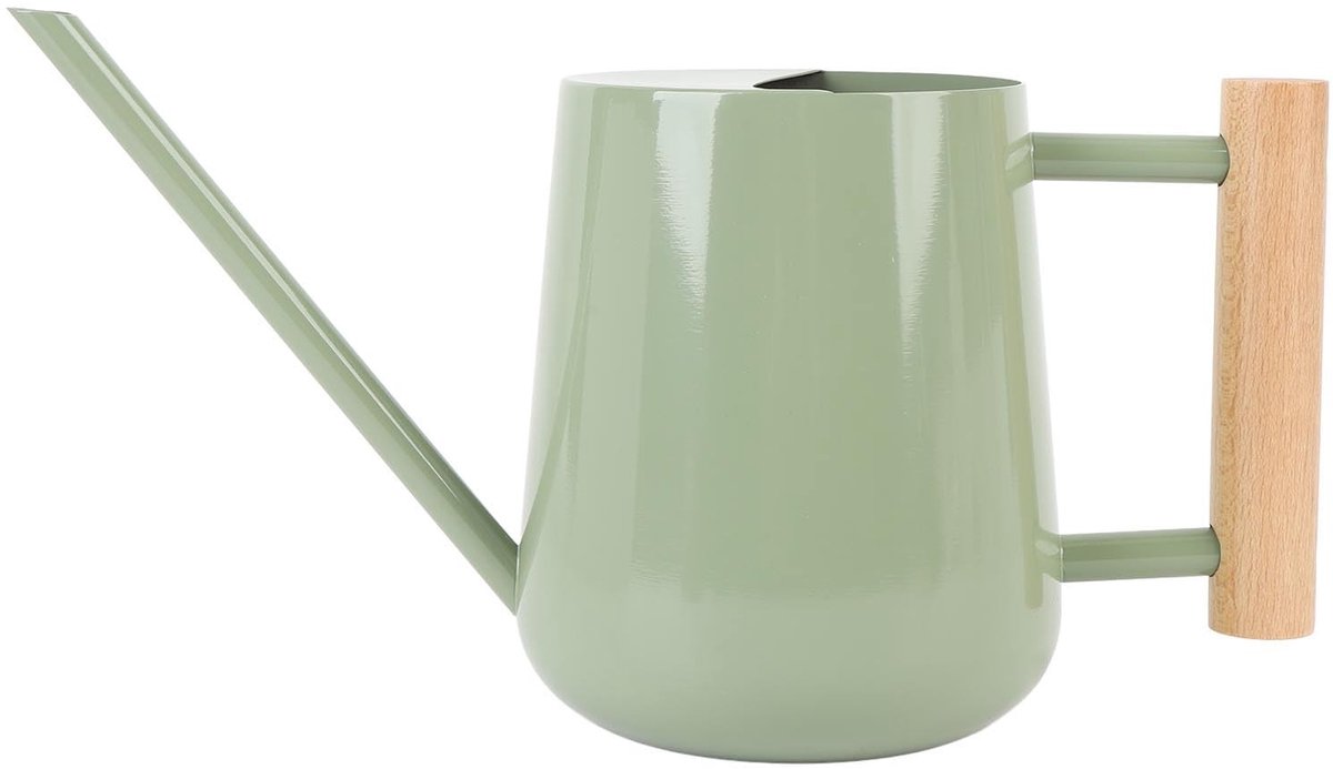 Dailygoods - Roestvrijstalen Watering Kan met Houten Handgreep