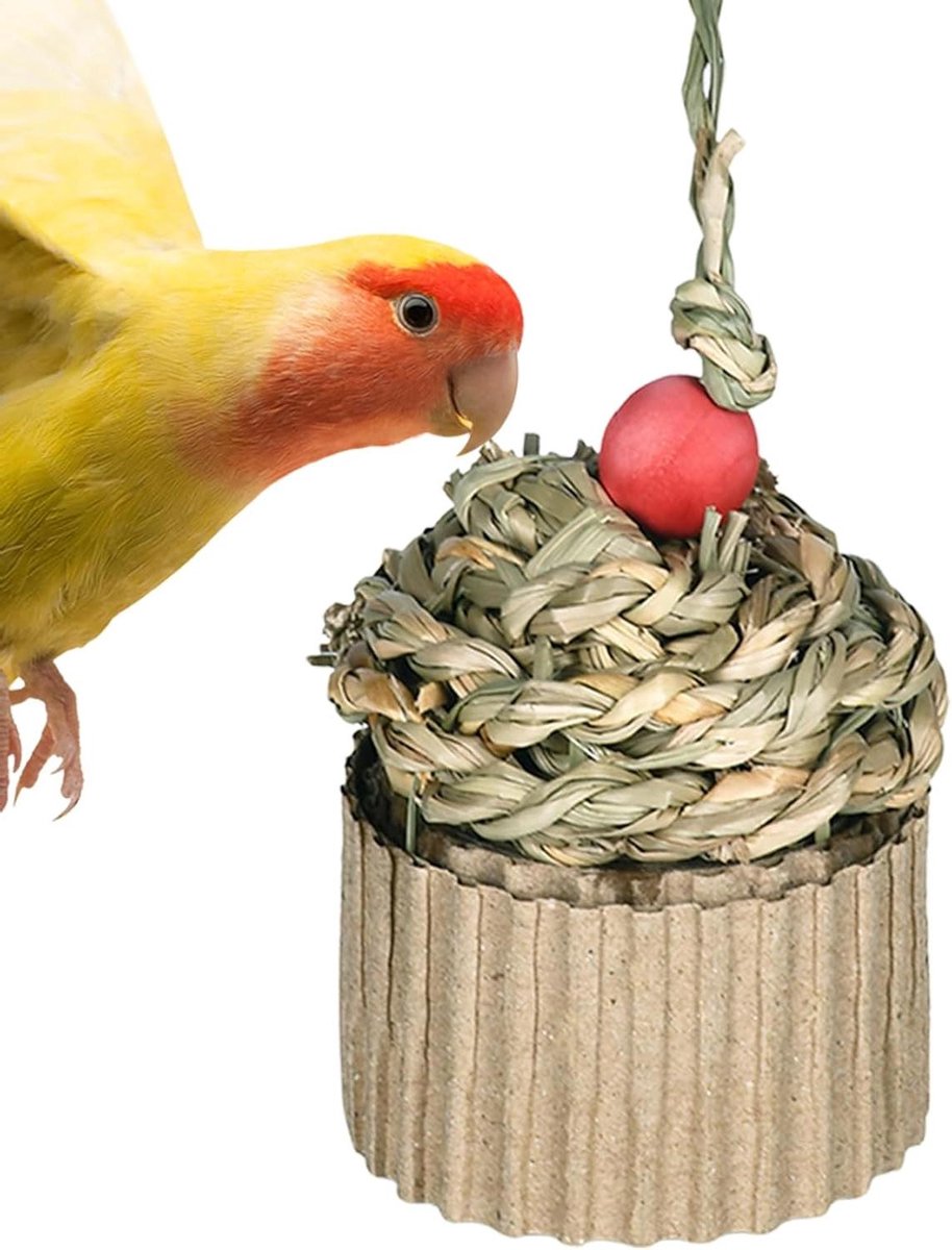 Vogelspeelgoed Huisje - Vogel Knaag Speeltjes - Verveling Verminderen - Natuurlijke Materialen - 9 x 9 x 9 cm