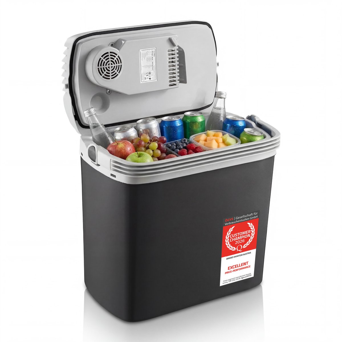 TZS First Austria Elektrische Koelbox - 16L - 12V en 230 volt - Frigobox -Koelen en Verwarmen - Zwart