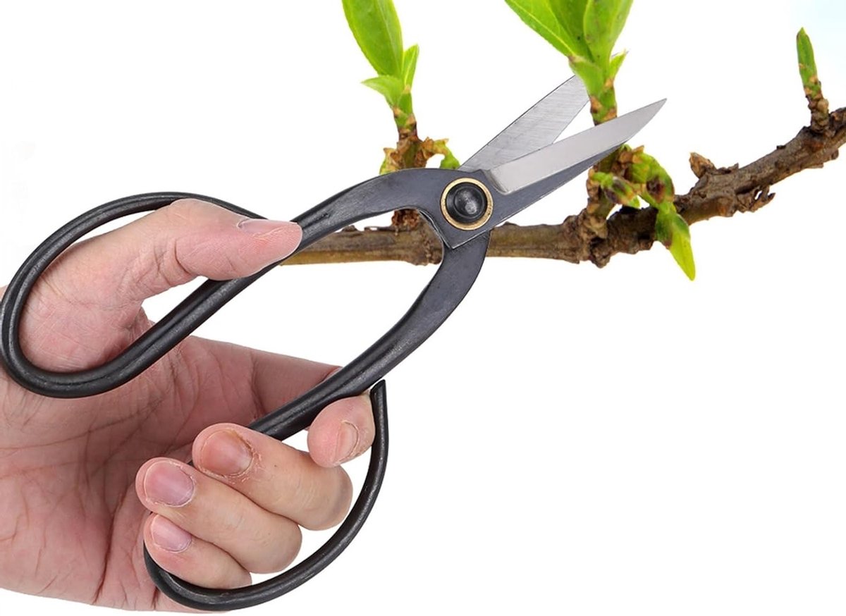 Professionele Bonsai Schaar van 200 mm van Staal voor Snoeien, Takken Verwijderen en Wortels Knippen
