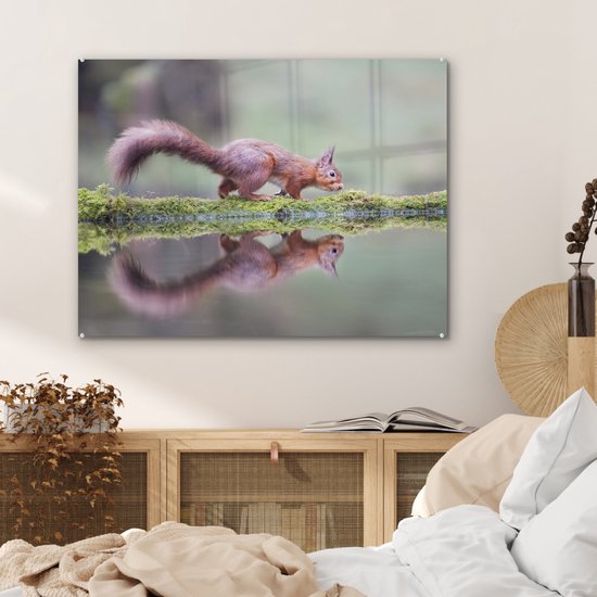 Peinture sur Verre - Écureuil - Mousse - Water - Reflet - 80x60 cm - Peintures sur Verre Acrylique - Photo sur Glas