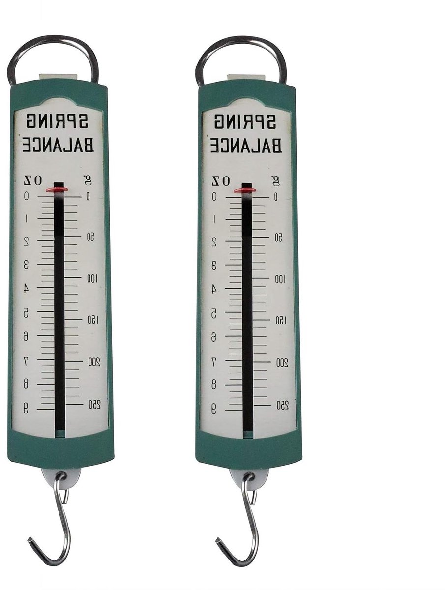 Veerweegschaal - Balansweegschaal - Nauwkeurig wegen - Dubbele set - 0-250 g - null