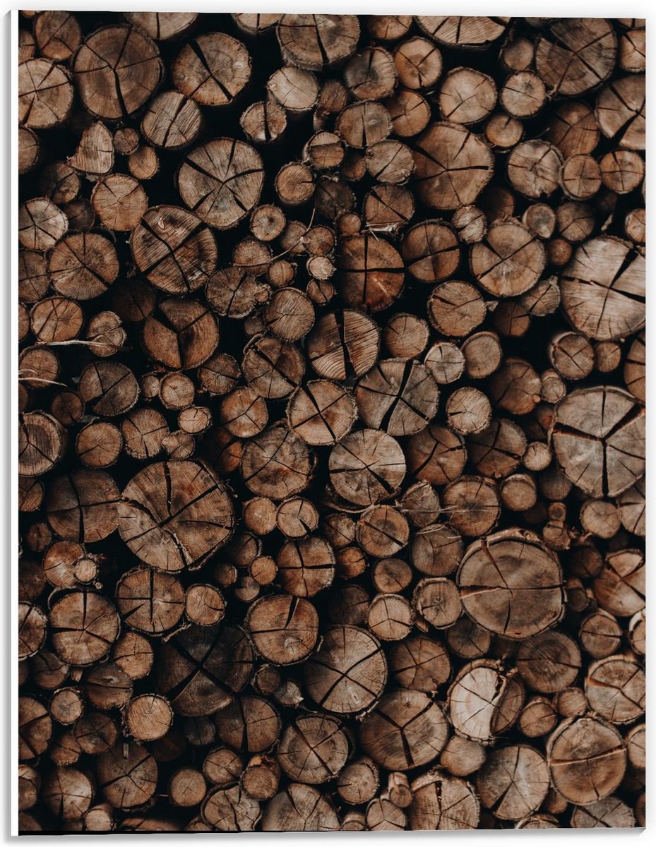 Forex - Houten Palen Opgestapeld - 30x40cm Foto op Forex
