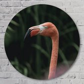 Muurcirkel ⌀ 40 cm - Flamingo - Aluminium Dibond - Dieren - Rond Schilderij - Wandcirkel - Wanddecoratie