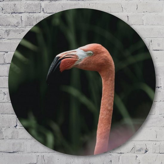 Muurcirkel ⌀ 80 cm - Flamingo - Kunststof Forex - Dieren - Rond Schilderij - Wandcirkel - Wanddecoratie