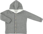 Trixie Hoodie Slim Stripes Junior Katoen Grijs Maat 50/56