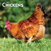 Chickens Kalender 2021
