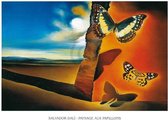 Salvador Dali - Paysage aux papillons Kunstdruk 120x90cm